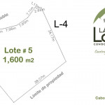 Lote 5