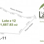 Lote 12