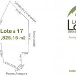 Lote 17