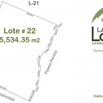 Lote 22