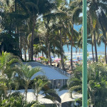 LAS ALAMANDAS