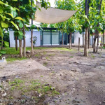 LAS TEKAS