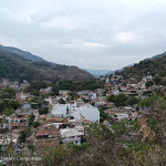 LOTE CAMICHIN 12