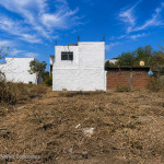 Lote Palmares